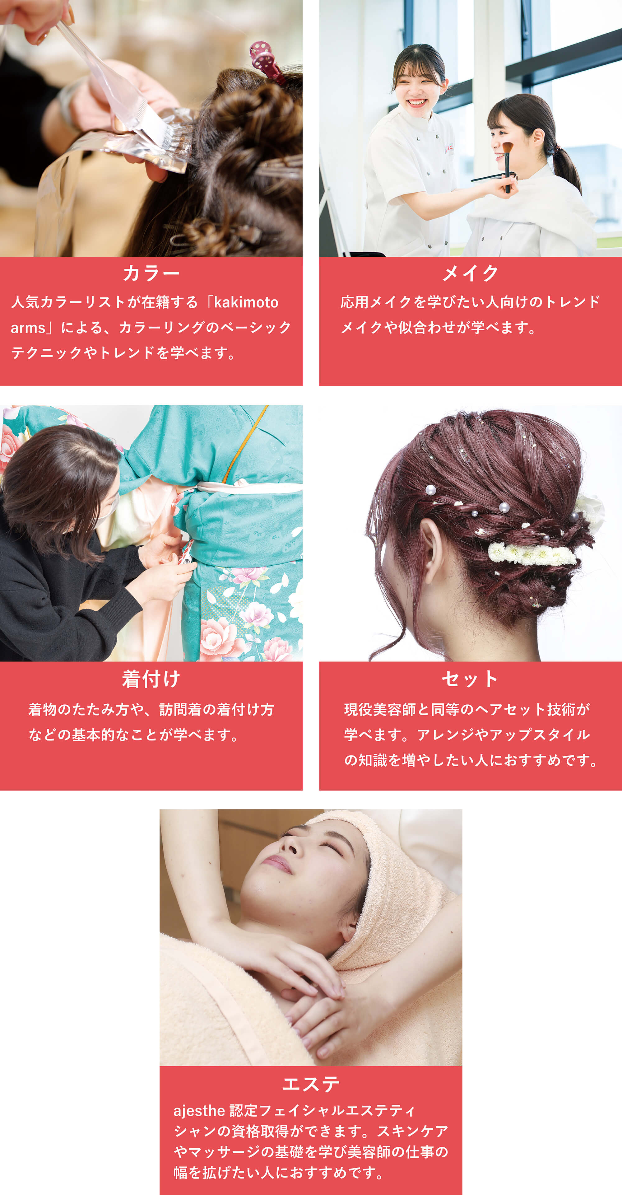 美容国家試験 まとめ売り美容師国家試験 まとめ売り 価格